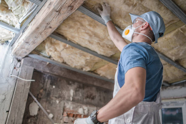 Best Energy Efficiency Insulation in Hutchison, VA