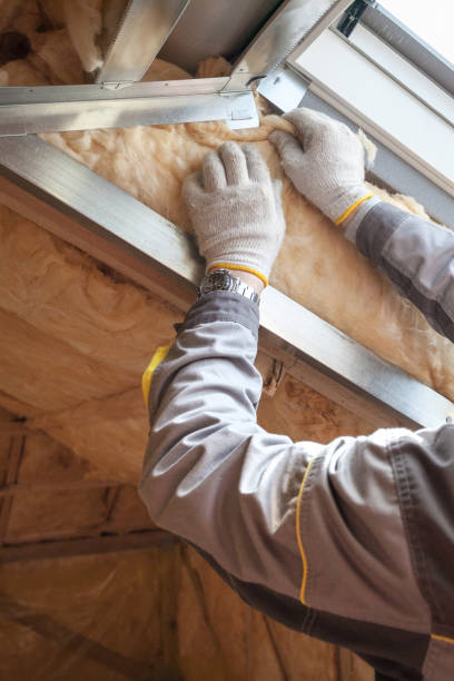 Best Insulation Maintenance and Repair in Hutchison, VA