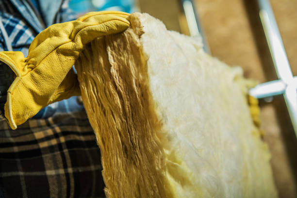 Best Specialized Insulation Services in Hutchison, VA